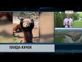 Погода от Инги Гудаль