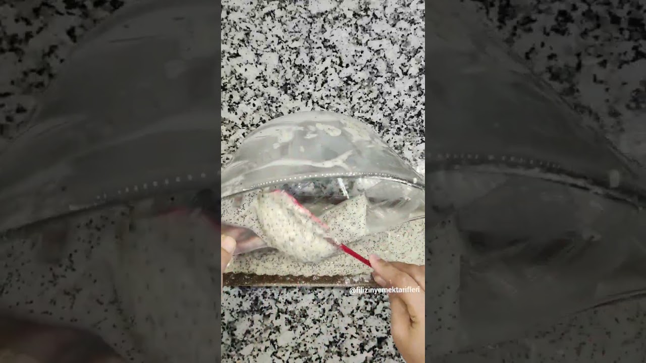 ???? LİMONLU VE HAŞHAŞLI KEK TARİFİ ????
