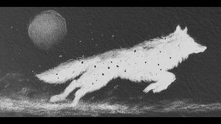 Run Old Shadow