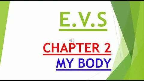 CLASS  1    EVS   LESSON 2  MY BODY