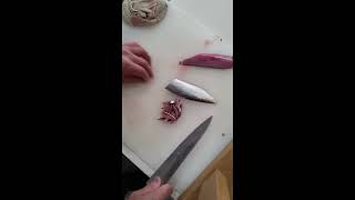 コノシロのさばき方・刺身の作り方【宮崎船長式 魚のさばき方】