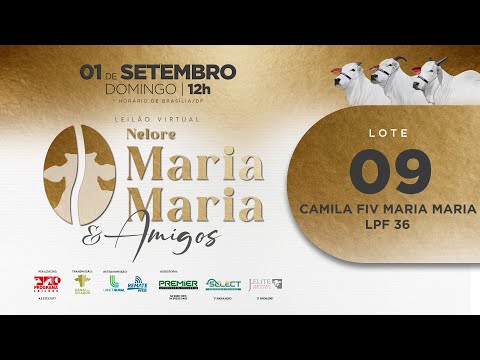 LOTE 09   LPF 36