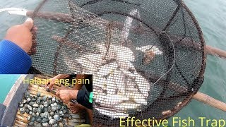 Fish Trap na ginamitan ng Halaan bilang pain, effective?