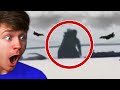 Godzilla sightings in real life the reaction