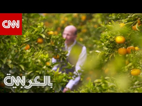 فيديو: هل يمكنك زراعة البرتقال في ملبورن؟