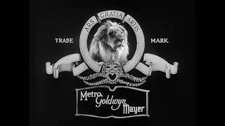 Mgm Jackie The Lion With Tanners Roar