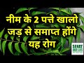 नीम के 2 पत्ते खालो जड़ से समाप्त होंगे यह रोग, Benefits Of Neem Leaves