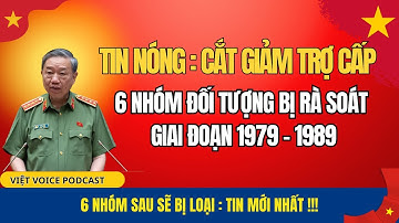 Tin Nóng! Cắt Giảm Trợ Cấp 6 Nhóm 1979–1989 – Ai Bị Ảnh Hưởng Nặng Nhất?
