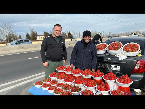 За этим Блюдом Едут в Горы! Самый Вкусный Узбекский Суп! Узбекистан!