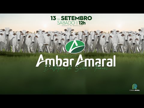 LOTE 42