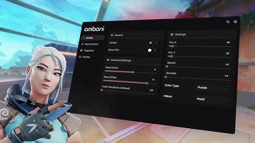 How to use the BEST UNDETECTED Colorbot on VALORANT (ft. ambani.dev)