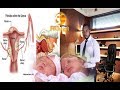 FAHAMU JINSI YA KUPATA MAPACHA WA JINSIA ZOTE NA DR FADHILI EMILY FAHAMU JINSI YA KUPATA MAPACHA WA JINSIA ZOTE NA DR FADHILI EMILY