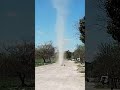 Dog takes on a small dust devil in playful encounter