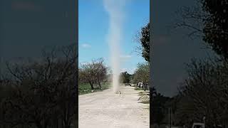 Dog Takes on a Small Dust Devil in Playful Encounter