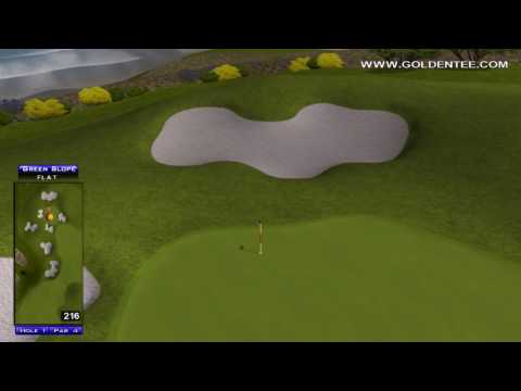 Pine Coast 01 Eagle 24668