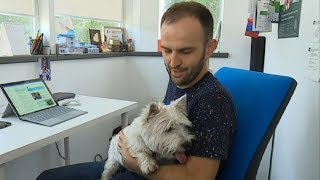 Клуб 4 лапи. Всеукраїнська акція «Візьми собаку на роботу» Клуб 4 лапи. Всеукраїнська акція «Візьми собаку на роботу»