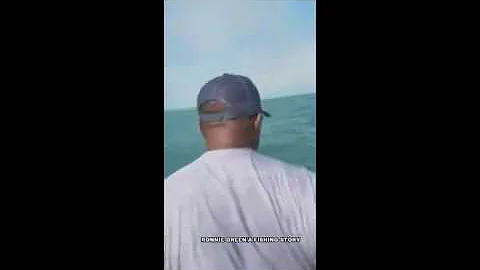 170526083 Huge Hammerhead Steals Tarpon Right Off Fisherman's Line