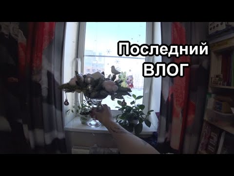 В Питере дубак//Лёд в квартире//Последний влог//