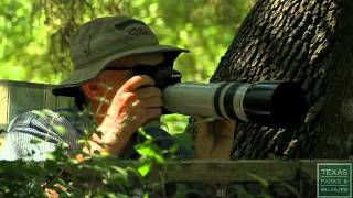 2011 Lone Star Land Steward: Warbler Woods