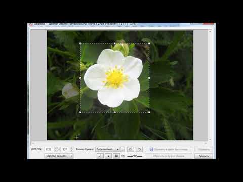FastStone Image Viewer