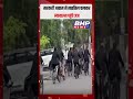 सरकारी आवास से साइकिल पर न्यायालय पहुंचे जज