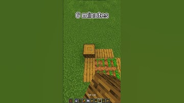 Minecraft Rabbit TRAP at Different Times🐰 #shortfeed #minecraft