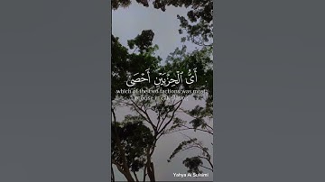 فَضَرَبْنَا عَلَىٰ آذَانِهِمْ فِي الْكَهْفِ سِنِينَ عَدَدًا#سورة_الكهف #قرآن #quran #سلطنة_عمان#لايك