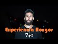 Experiencia Hongos Tavil (+ Psicoanálisis)