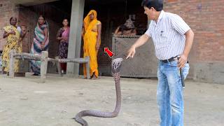क्या सच में गर्भवती महिला के सामने पड़ते ही अंधा हो जाता है साँप? 3 घंटे तक Cobra के सामने खड़ी रही।