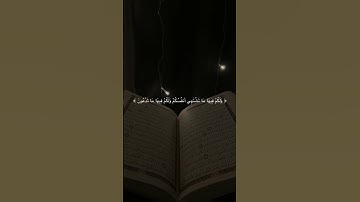 القرآن الكريم #quran #المصحف #راحة_نفسية #لايك #الرحمن #اكسبلور