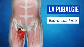 Soigner la Pubalgie : Étirements et Exercices kiné