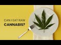 Can you eat raw cannabis