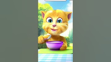 Talking ginger🐈🐈🐈🐈#shorts