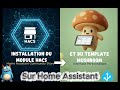 Installez HACS (Community Store) et les Cartes Mushroom sur Home Assistant (Tutoriel Complet)
