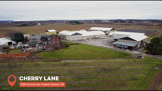 Local Lens Episode 3 Vineland  |  Cherry Lane Profile
