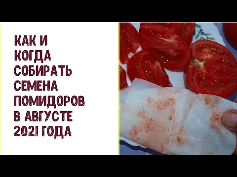 Video: Кызгылт сары түстө кандай түс жакшы жарашат