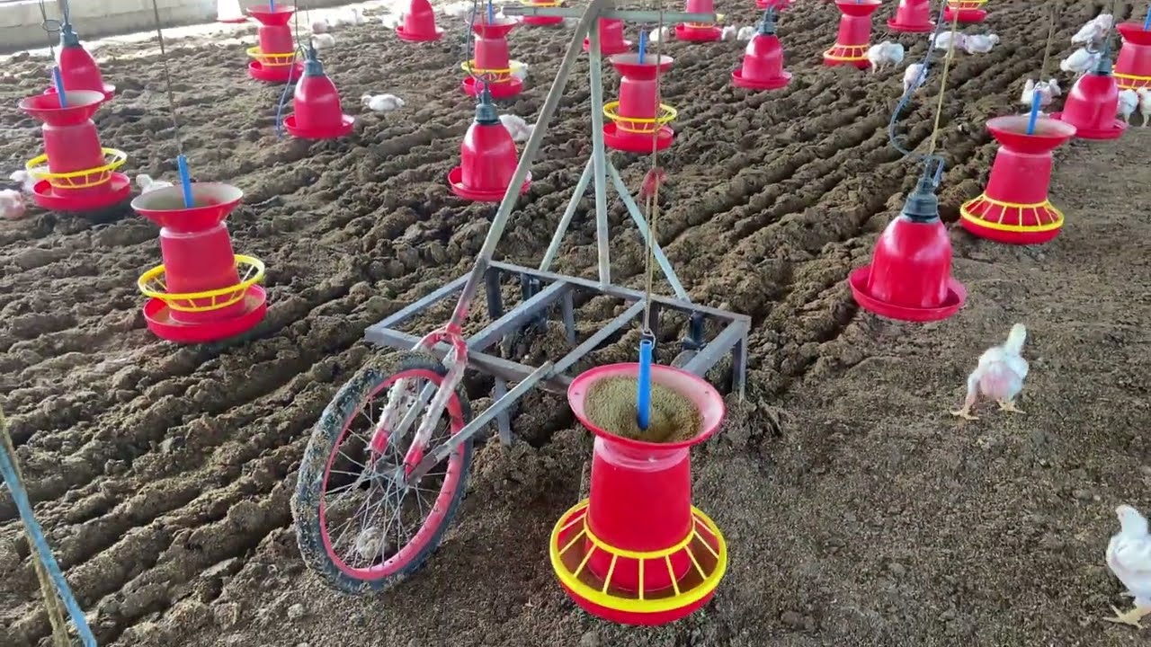 Poultry Litter Raking Machine | పౌల్ట్రీ రైతులకు బెస్ట్ మెషిన్