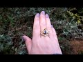 Gold Onyx Bat Swarm Ring