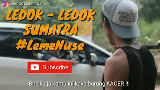 LEDOK LEDOK SUMATRA// KOLE LEME NUSE //Inspirasi by Alit Werdi Saputra