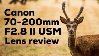 Canon 70200mm f/2.8 L IS II USM Real world review  with sample photos!