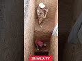 Sana A Africanpresident Africa Szariahausa Africanpresident Funny Lifeisbutadream Muhammadub Sana A Africanpresident Africa Szariahausa Africanpresident Funny Lifeisbutadream Muhammadub