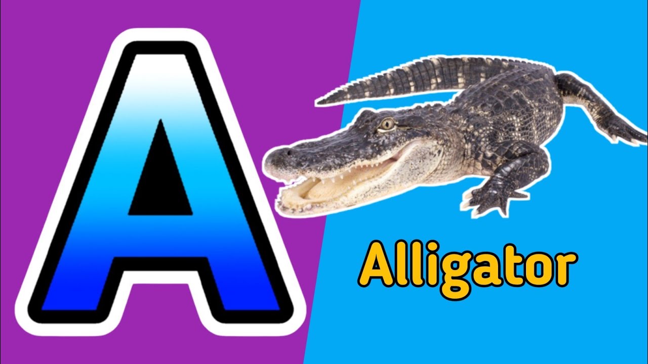 Phonics Song ABCD - A for Alligator B for Bee C for Candle | ABC ...