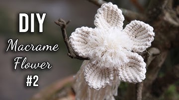 #2 DIY Macrame Flower Tutorial 🌸 Easy Pattern | How to macrame by LIT decor 🌸