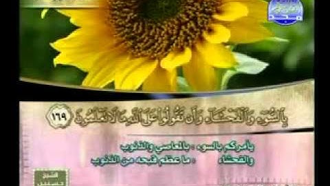 تلاوات - ناصر القطامي - سورة البقرة [159 - 176.flv
