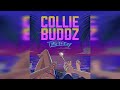 Collie buddz  take it easy official audio