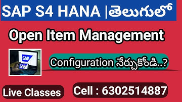 SAP FICO Open item management Configuration in Telugu - Month End Provisions - By Lokesh