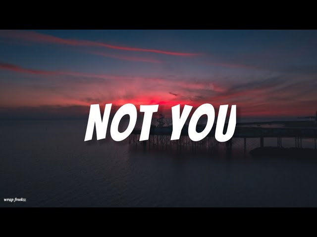 Alan Walker x Emma Steinbakken - Not You (Lyric Video) class=