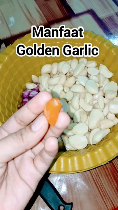 Download lagu Golden Garlic Golden Garlic #onion #garlic #golddengarlic #benefits #benefitsofgarlic