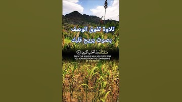 تلاوة تفوق الوصف بصوت تخشع له القلوب الصادقة #elmulquranعلم #تلاوة #قران_كريم #اكسبلور #المصحف