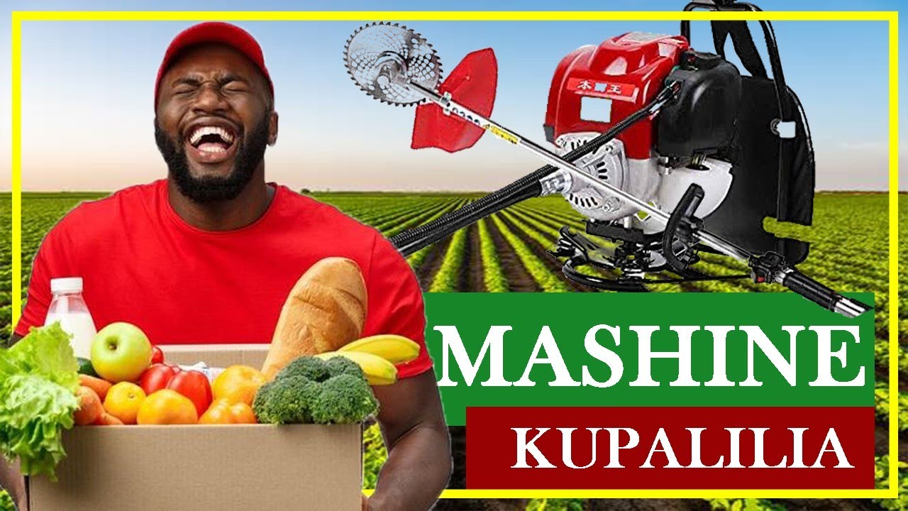 Brush Cutter Mashine Ya Kufyeka Majani Na Kulima